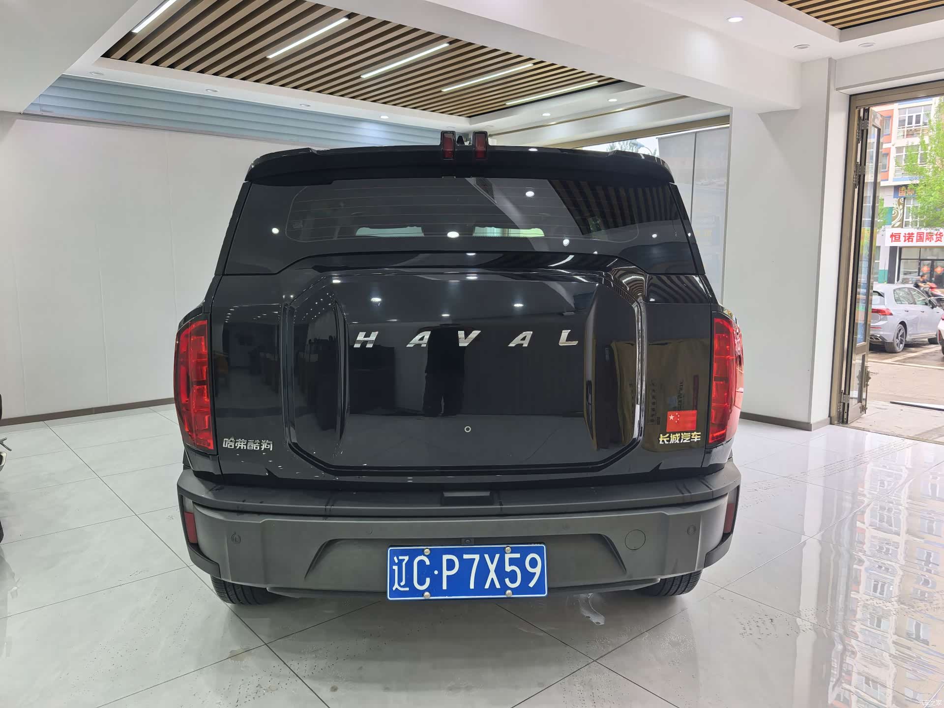 Haval Cool Dog, 2023 все фото