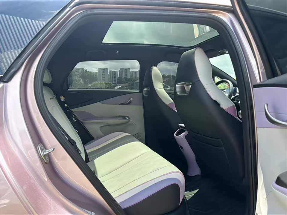 BYD dolphin