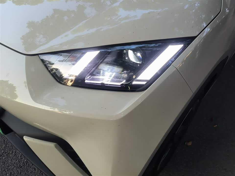 BYD Seagull