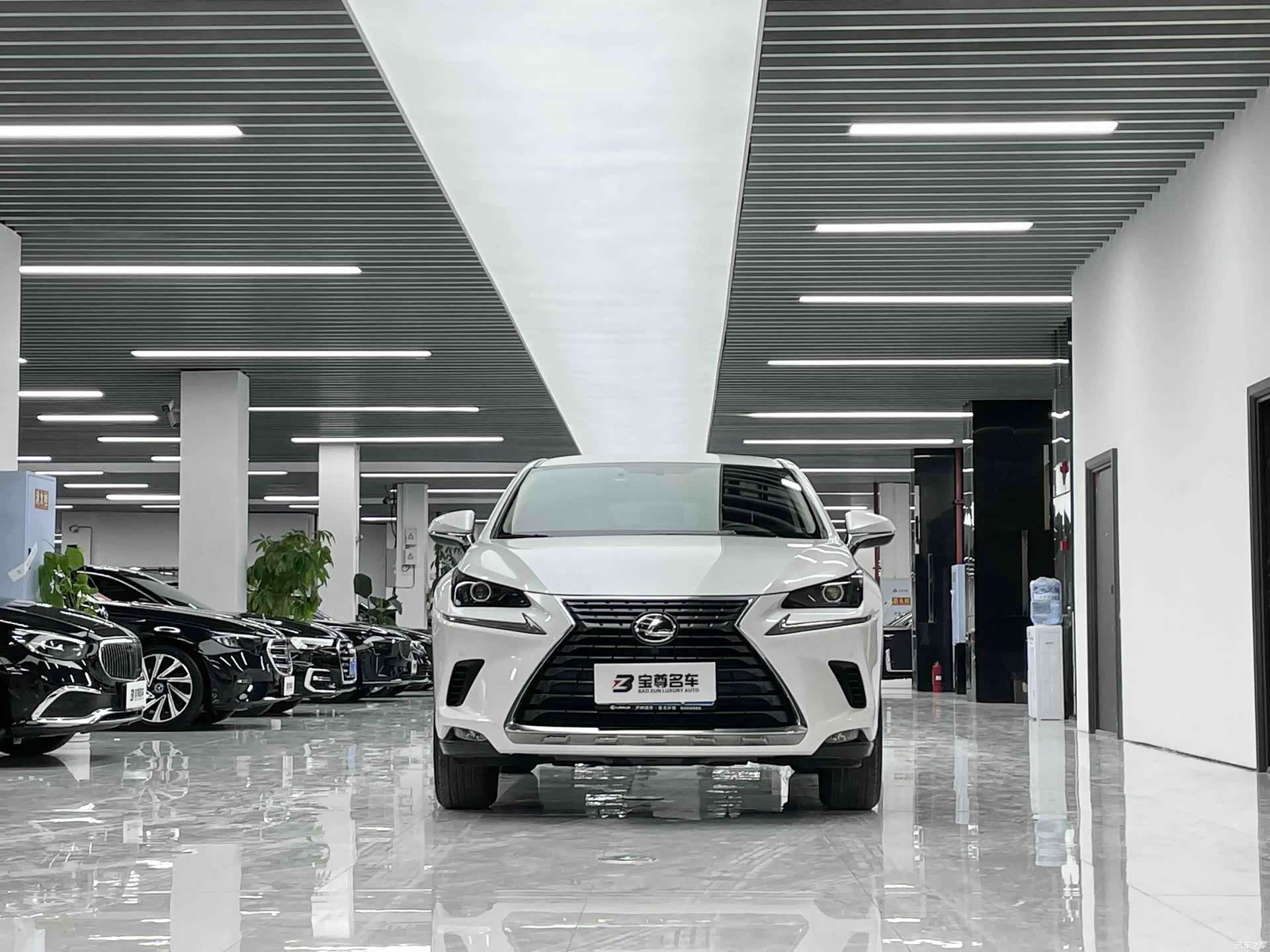 Lexus NX, 2020 2