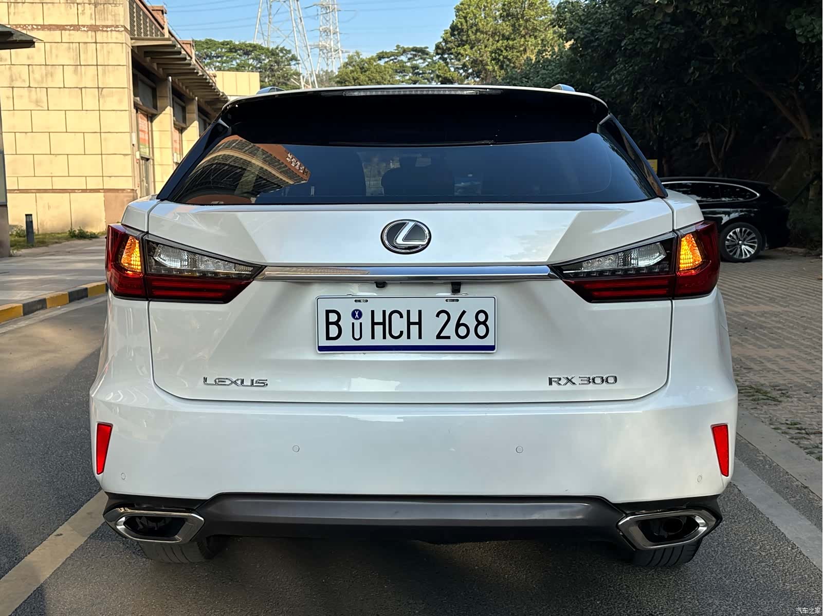 Lexus RX, 2017 4