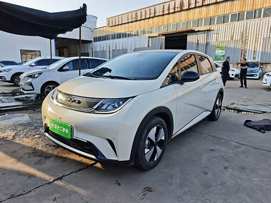 BYD Dolphin 2023, фото 2