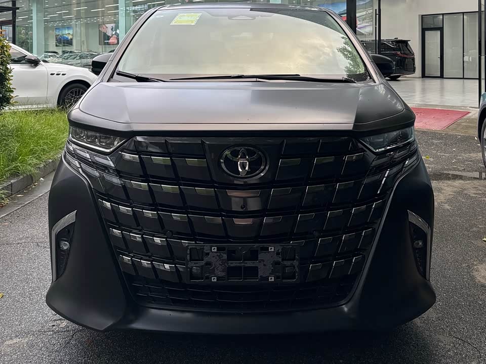 Toyota Elfa