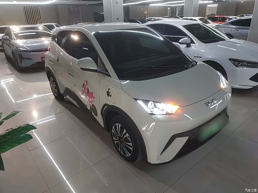 BYD Seagull, 2025 4