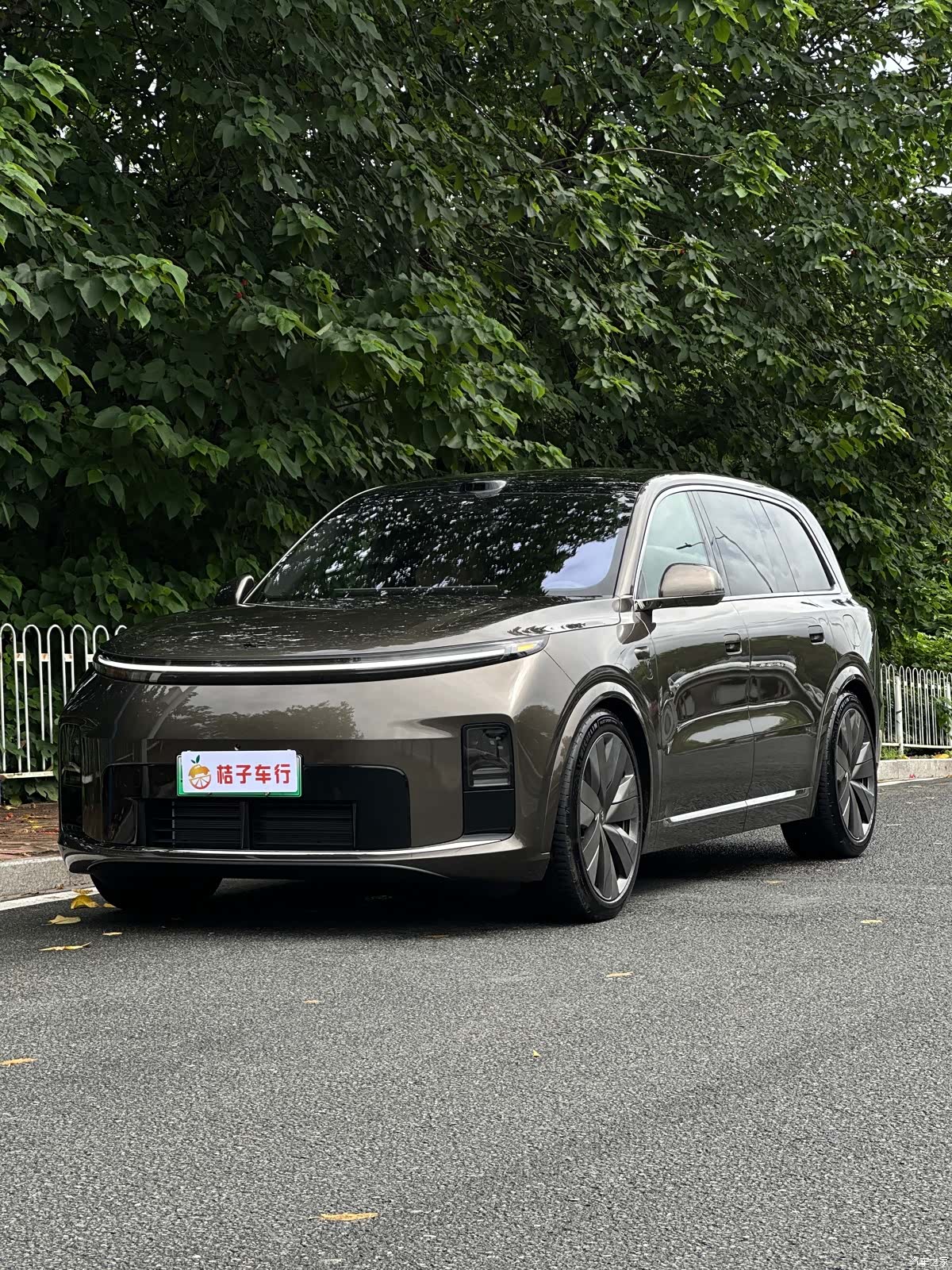 Li Auto L9, 2026 8