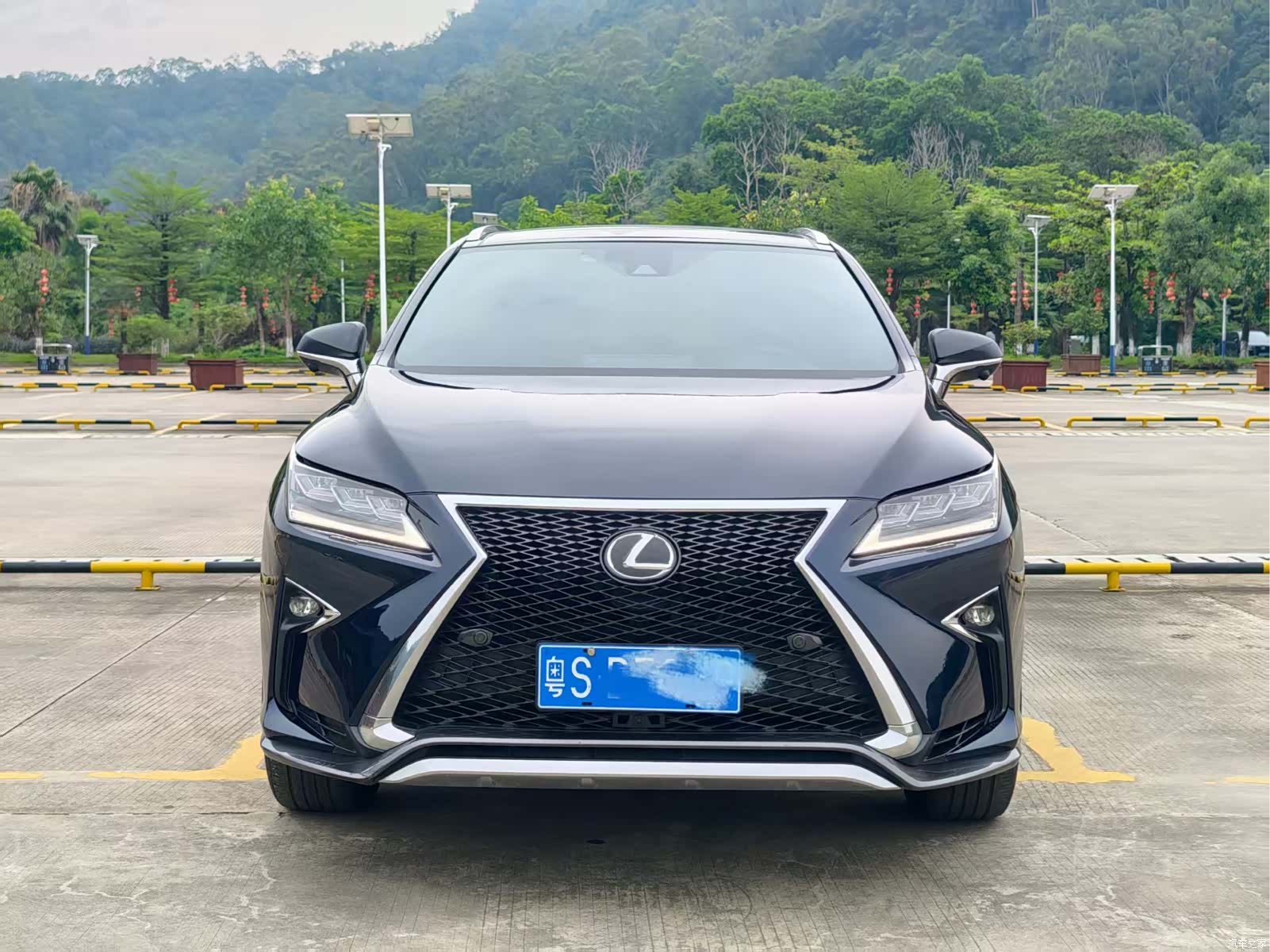 Lexus RX, 2017 2