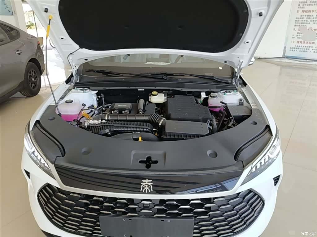 BYD Qin, 2026 20