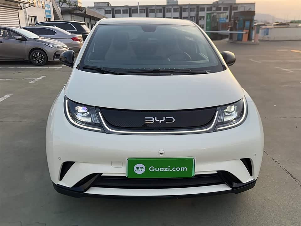 BYD dolphin BYD dolphin