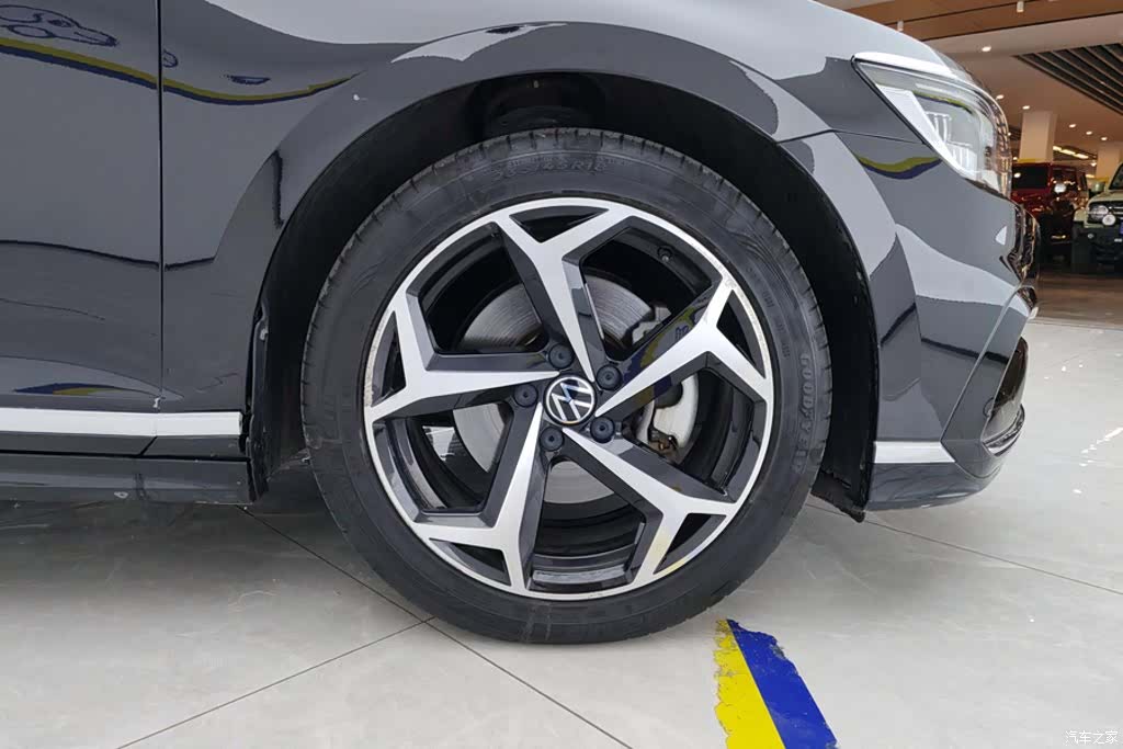 Volkswagen Magotan, 2024 6
