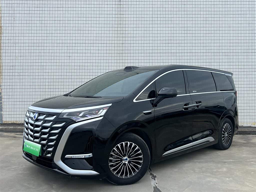 Denza D9
