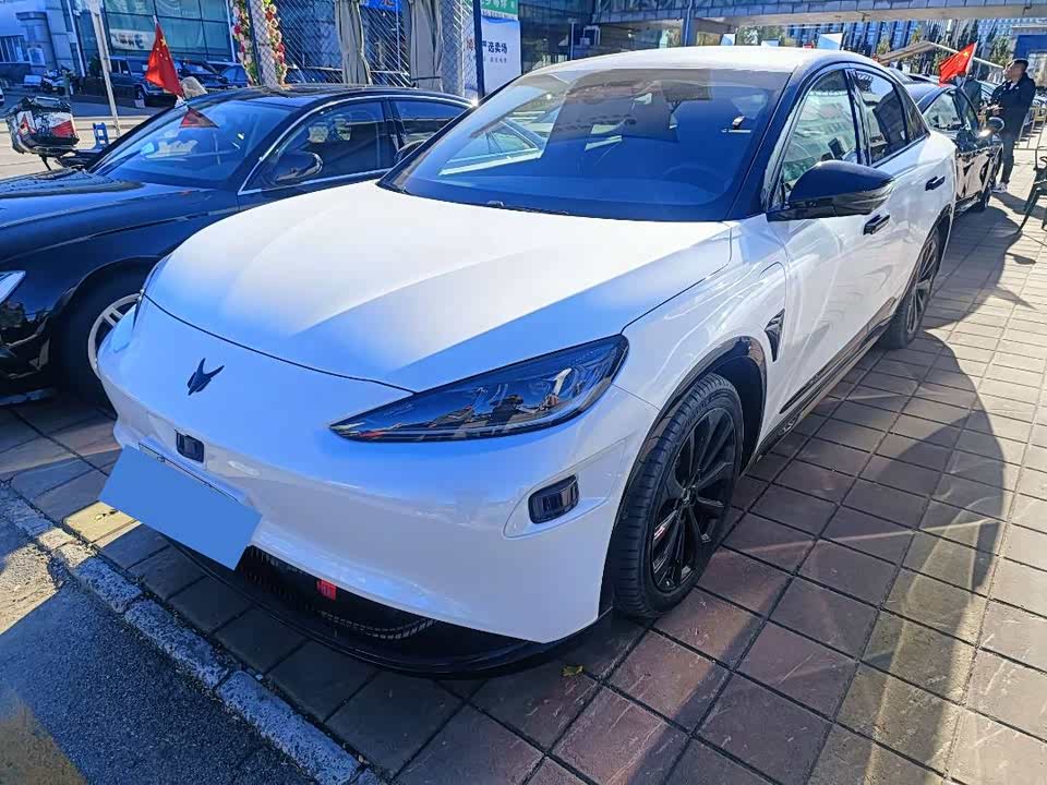 ARCFOX Polar Fox Alpha S