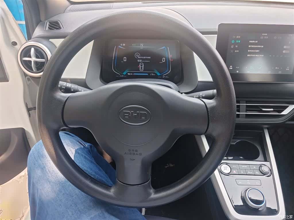 BYD e1, 2021 11
