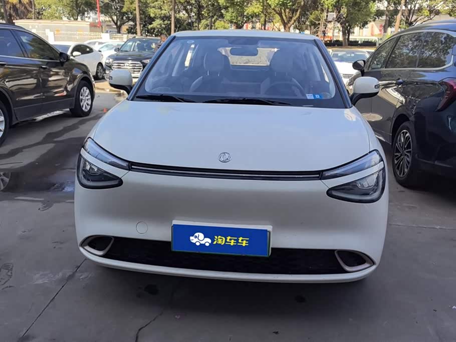 Dongfeng Nammi Nano 01