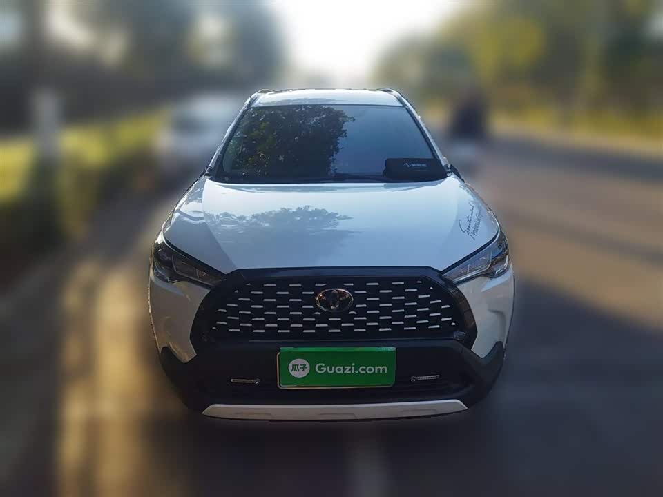 Toyota Corolla Sharp amplifier