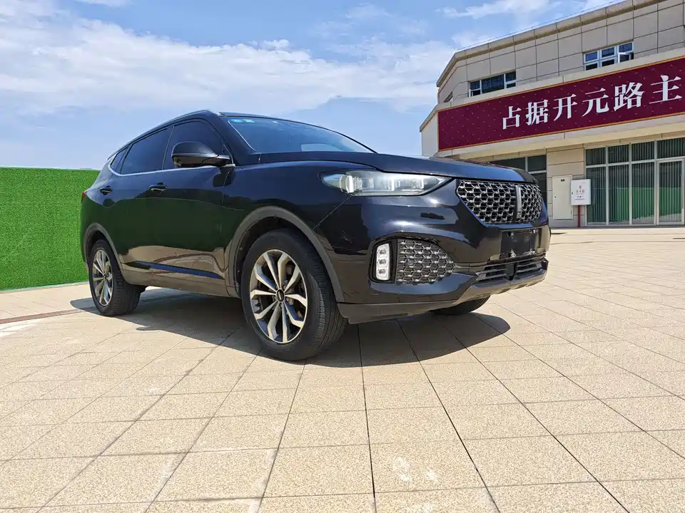 Weipai VV6