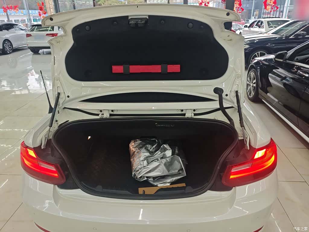 BMW 2 Series, 2016 19