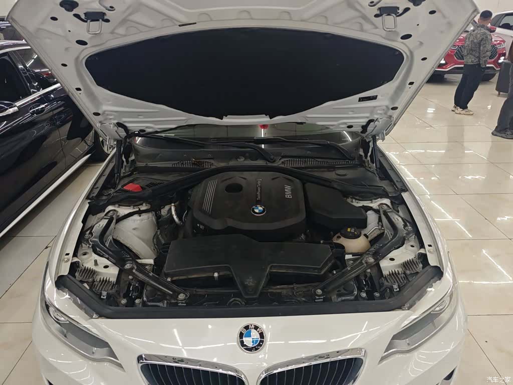 BMW 2 Series, 2016 20