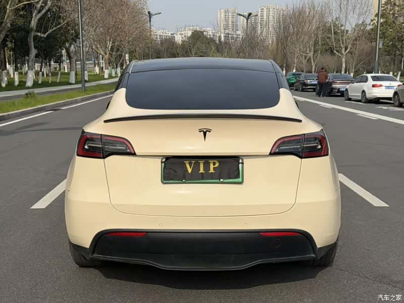 Tesla Model Y, 2022 все фото