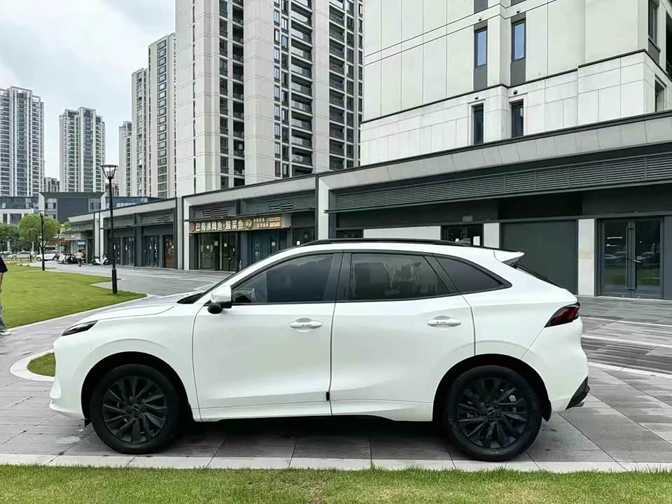 Forthing Popular T5 EVO Forthing Popular T5 EVO