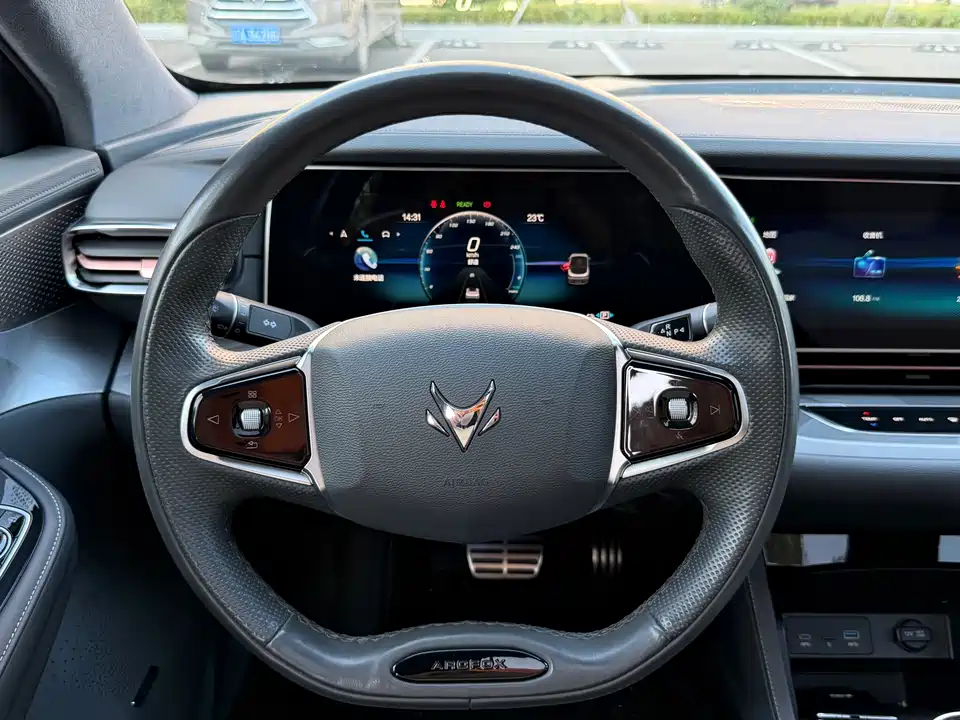 ARCFOX Polar Fox Alpha S