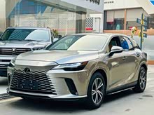 �׿���˹RX 2025�� 300 ����������