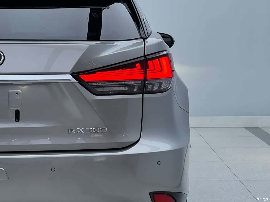 Lexus RX, 2022 6