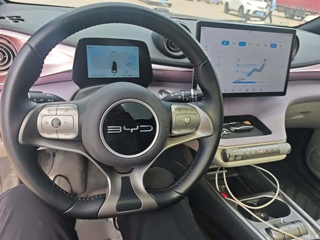 BYD Dolphin, 2023 10