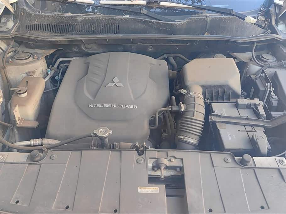 Leopaard Cheetah CS10