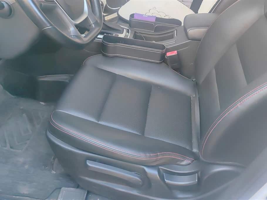 Leopaard Cheetah CS10