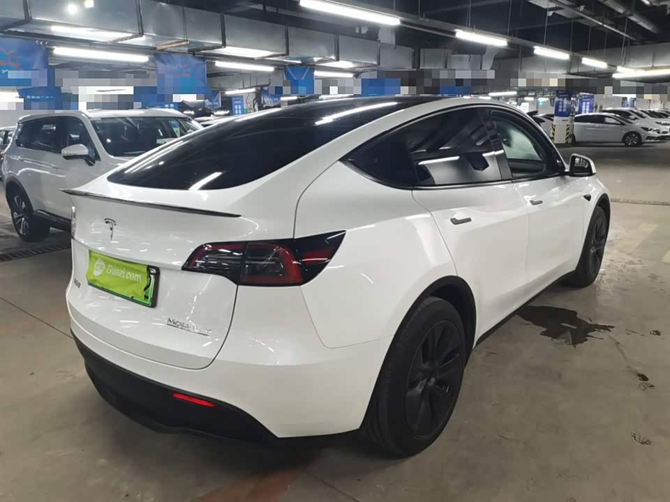 Tesla Model Y Tesla Model Y