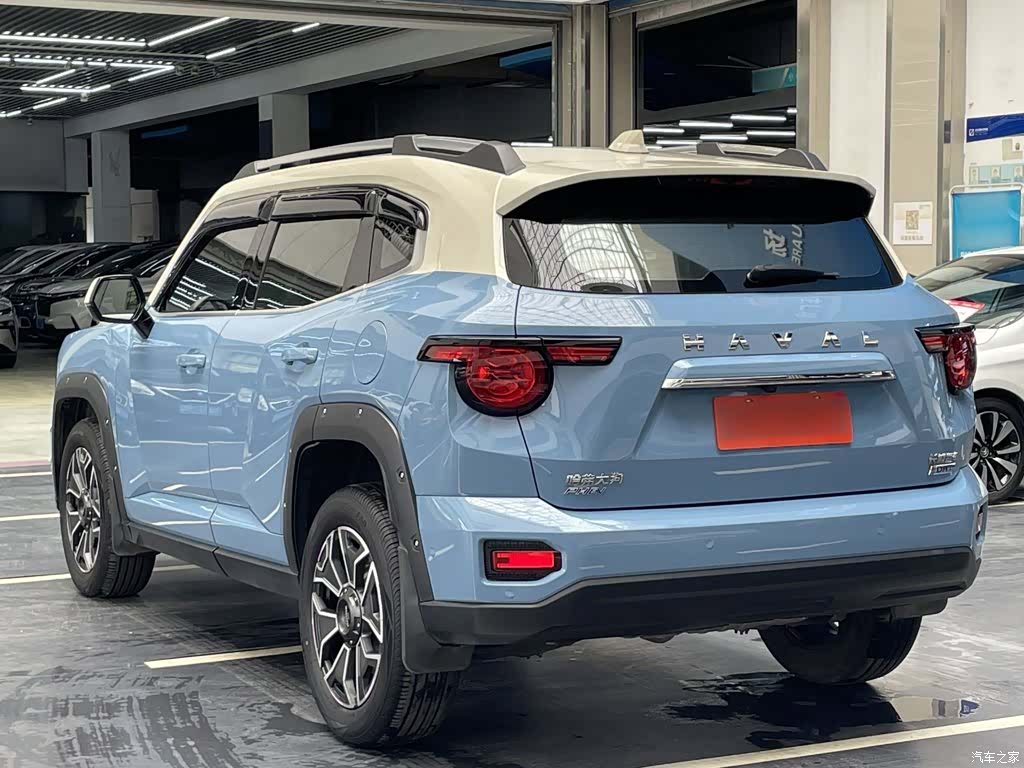 Haval Big Dog, 2023 13