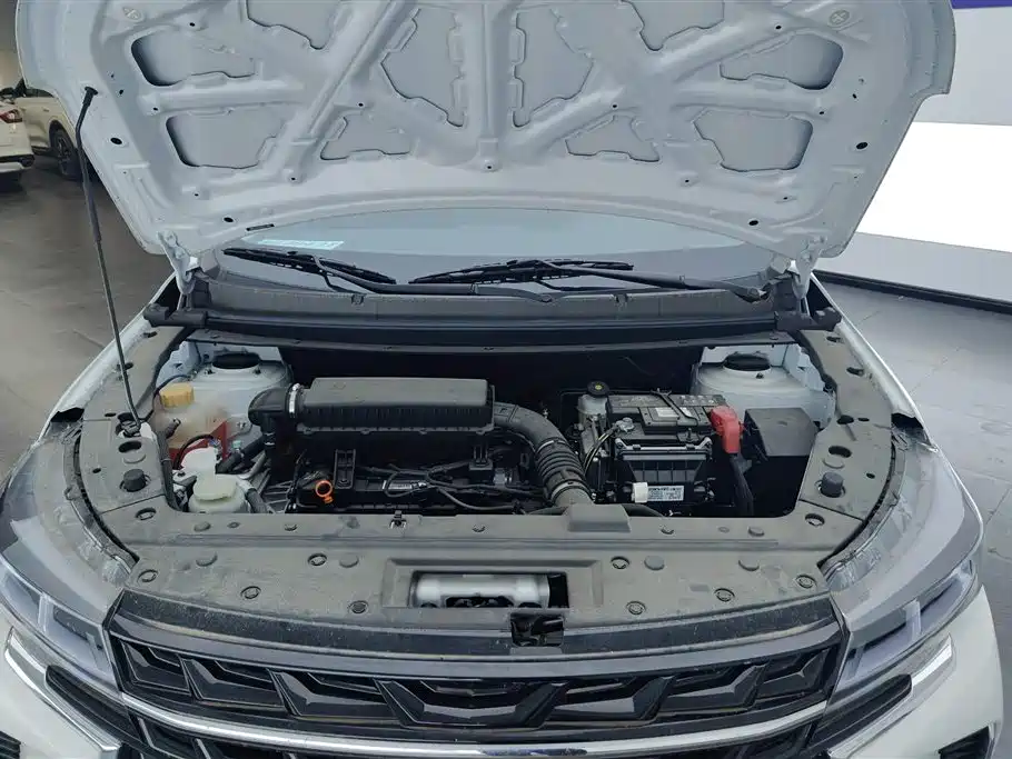 Forthing Popular T5 Forthing Popular T5