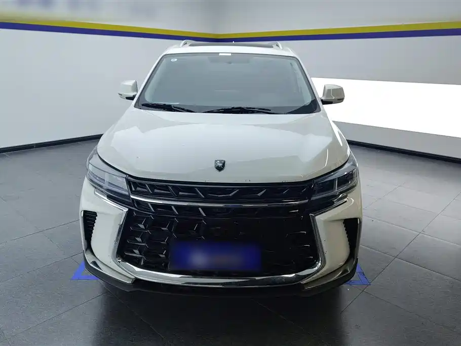 Forthing Popular T5 Forthing Popular T5