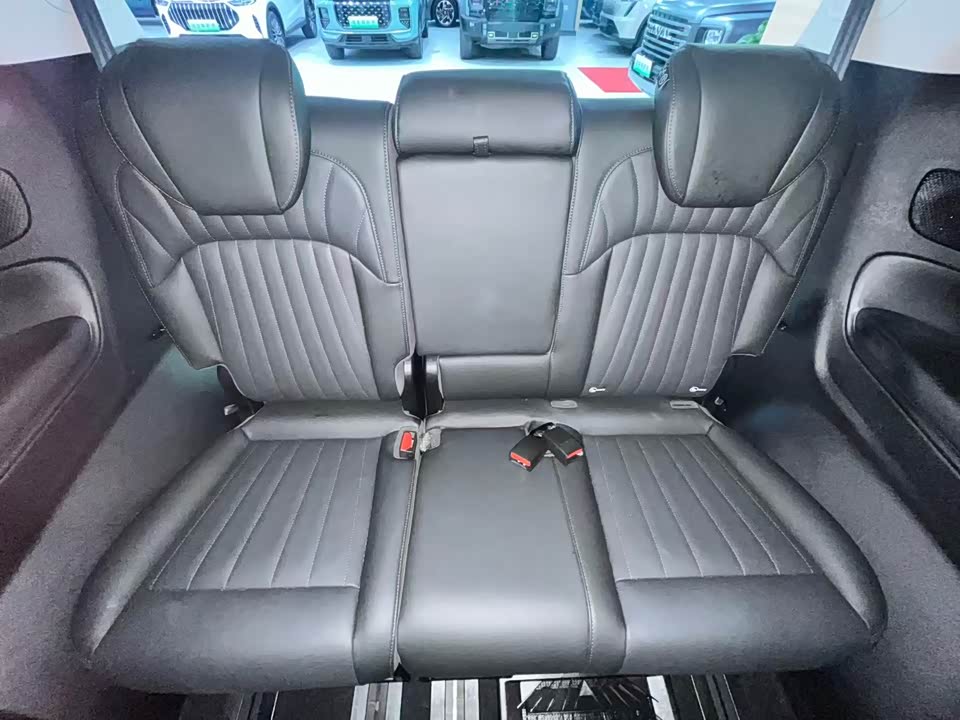 Trumpchi Trumpchi E9