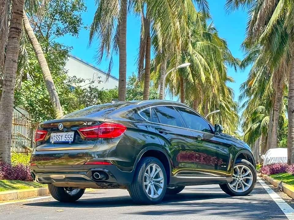 BMW X6