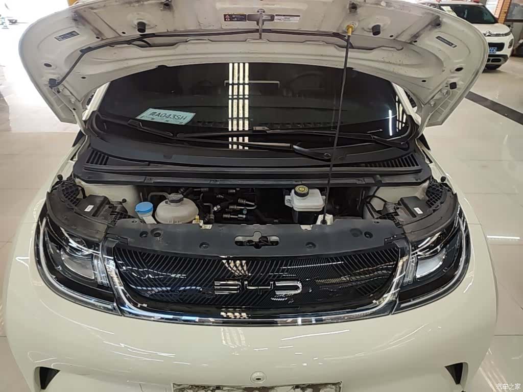 BYD Dolphin, 2024 16