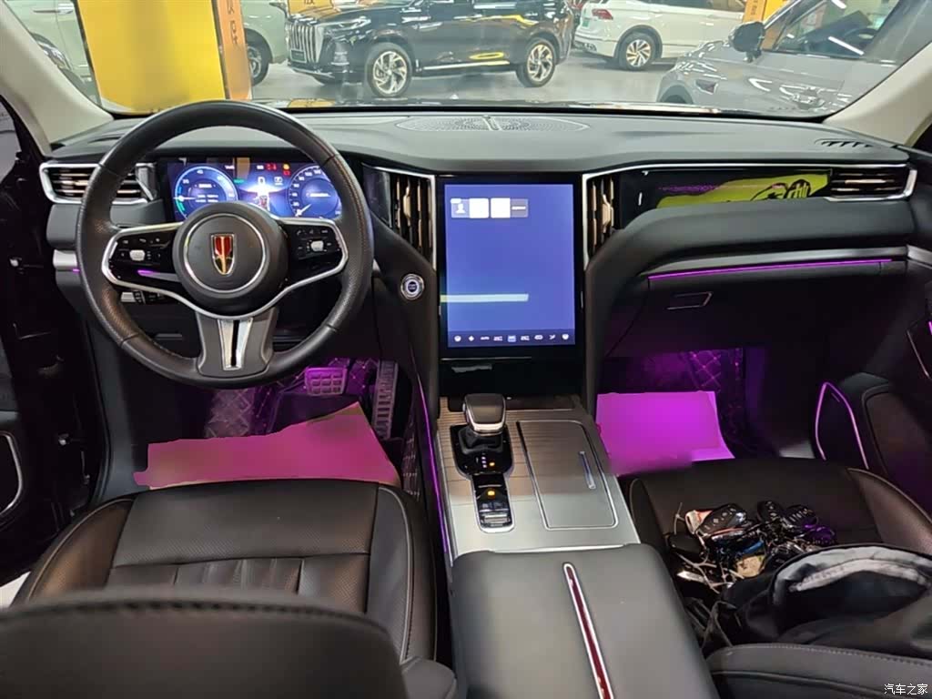 Hongqi HS7, 2024 10