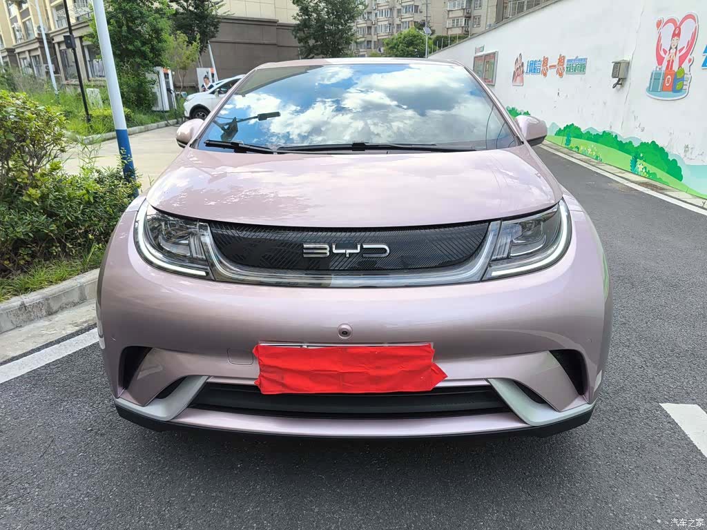 BYD Dolphin, 2023 23