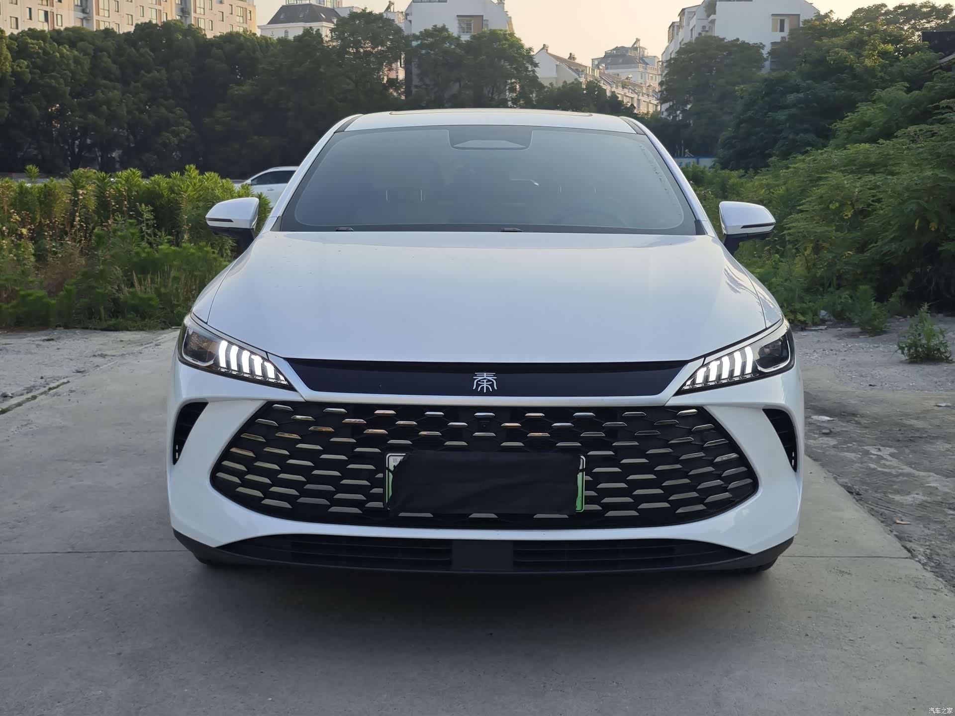 BYD Qin, 2025 2