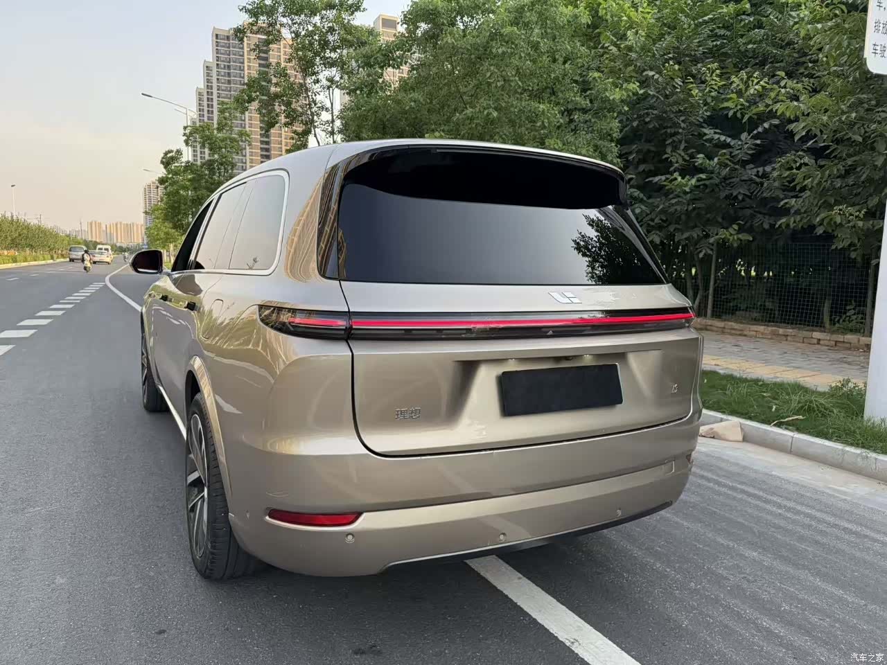 Li Auto L9, 2023 9