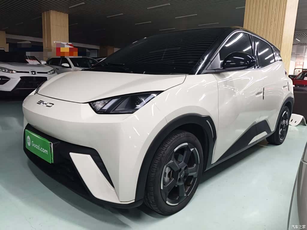 BYD Seagull, 2023 1