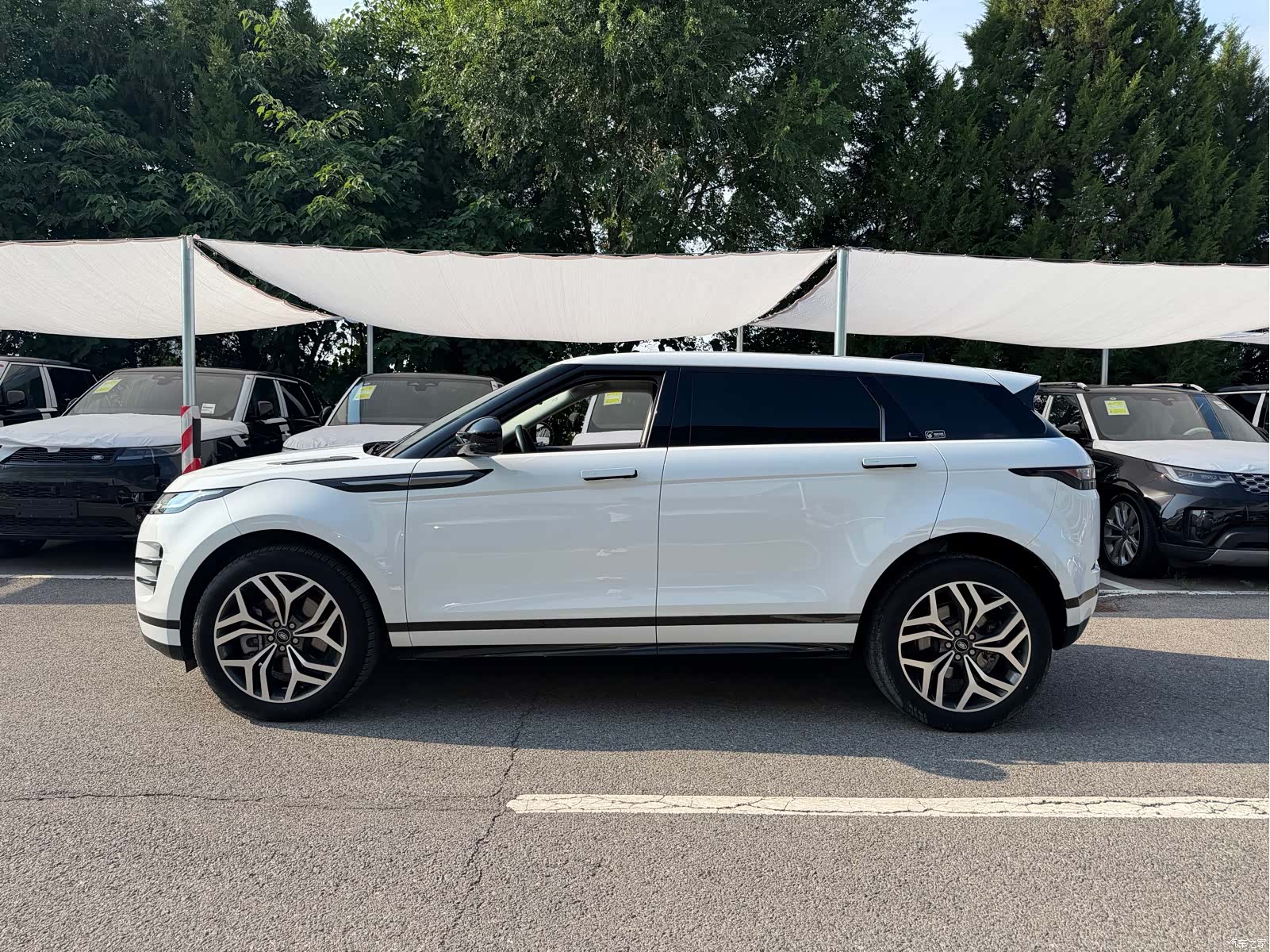 Land Rover Range Rover, 2024 2