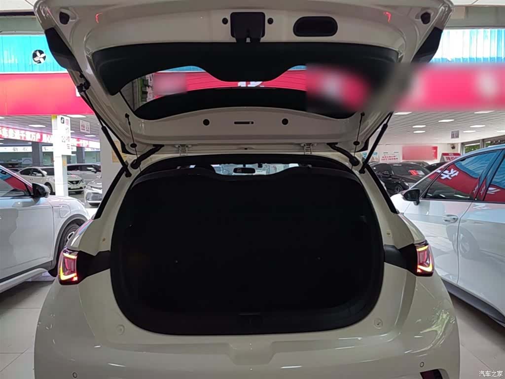 BYD Dolphin, 2023 19