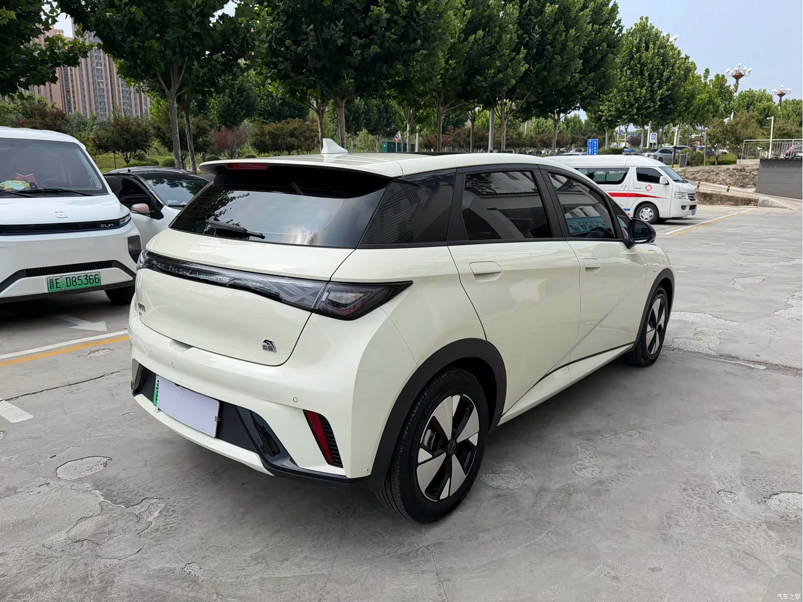 BYD Dolphin, 2024 9