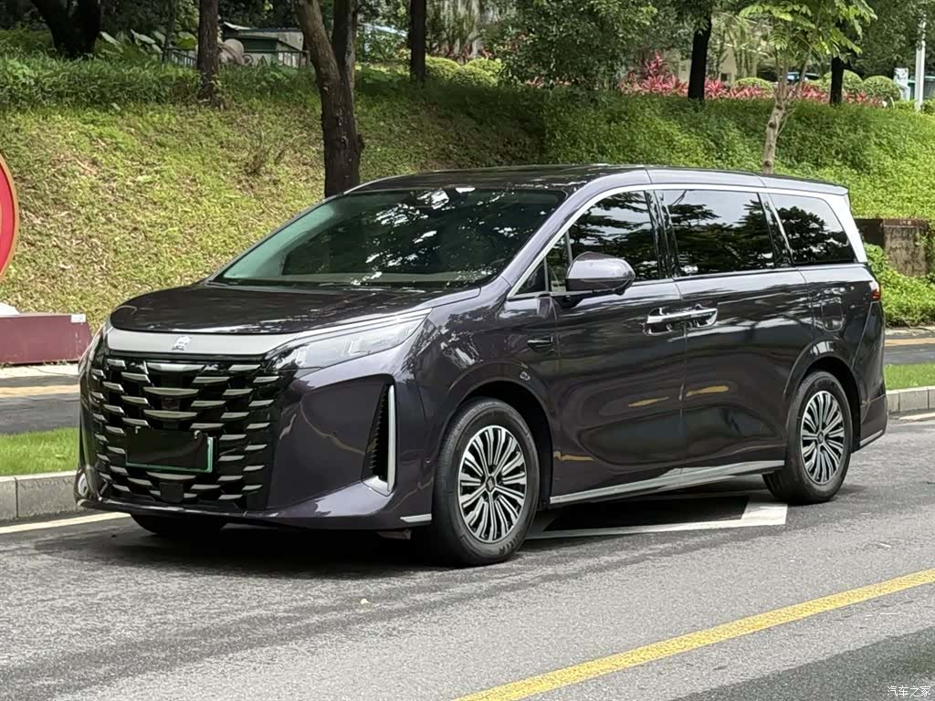 BYD Xia, 2025 1