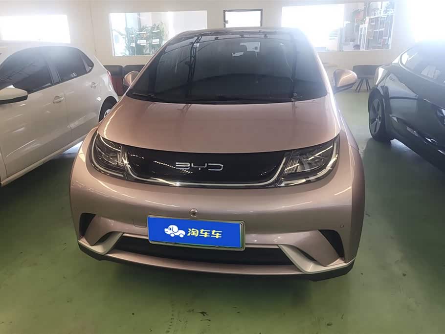 BYD dolphin