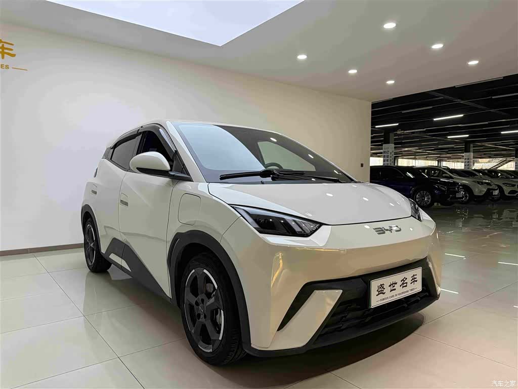 BYD Seagull, 2024 4