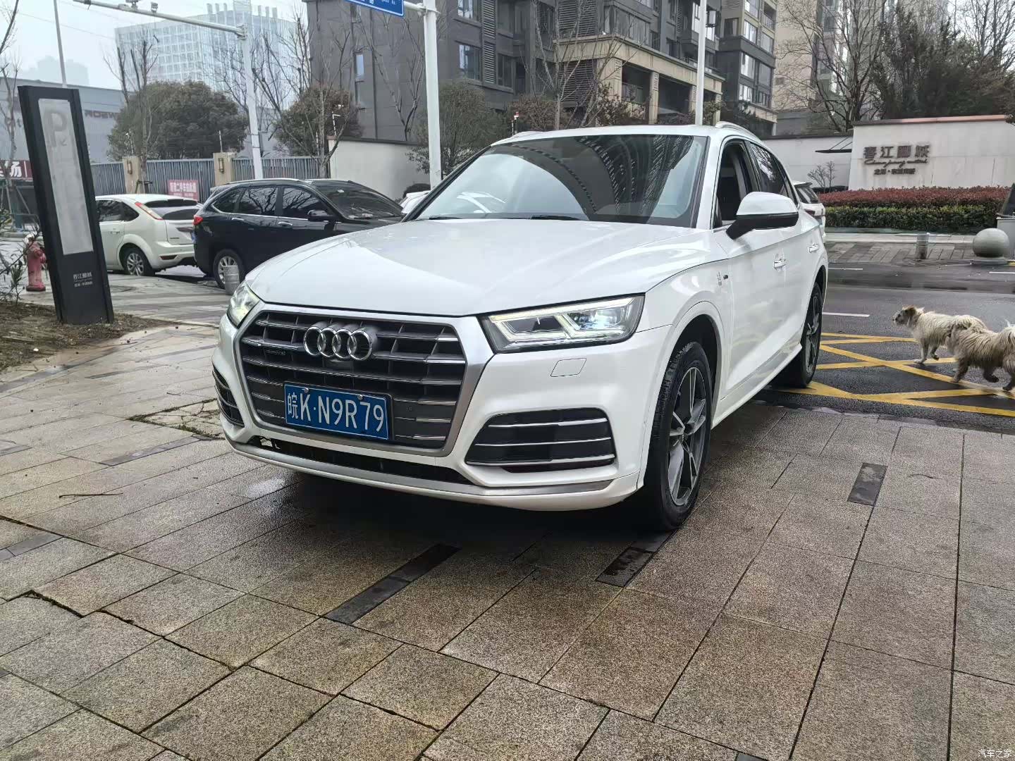 Audi Q5L, 2020 1