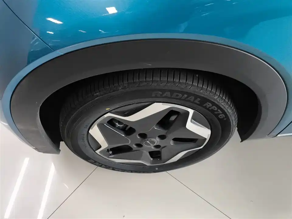 BYD dolphin BYD dolphin
