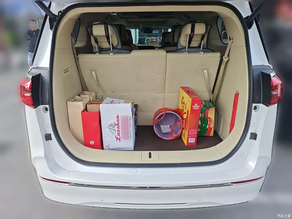 Buick GL8, 2022 10